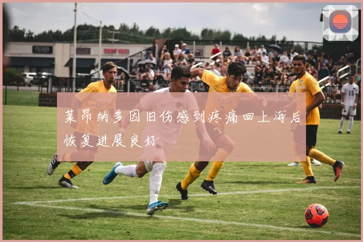 莱昂纳多因旧伤感到疼痛回上海后恢复进展良好