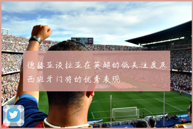 德赫亚谈拉亚在英超的低关注度及西班牙门将的优秀表现